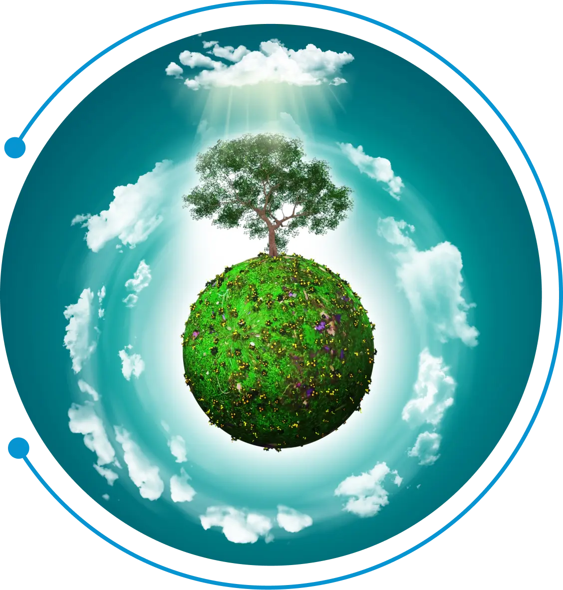 koenig-environment-policy-banner